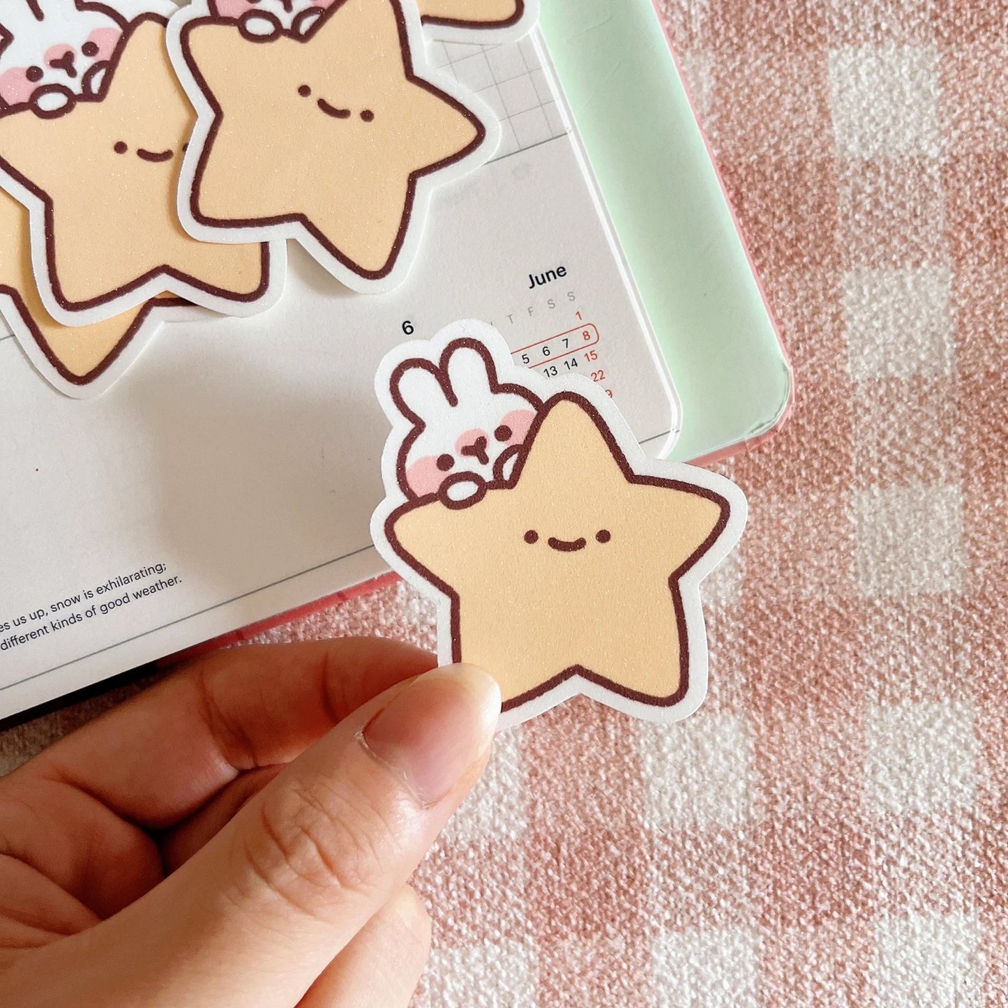 Star Rabbit Sticker