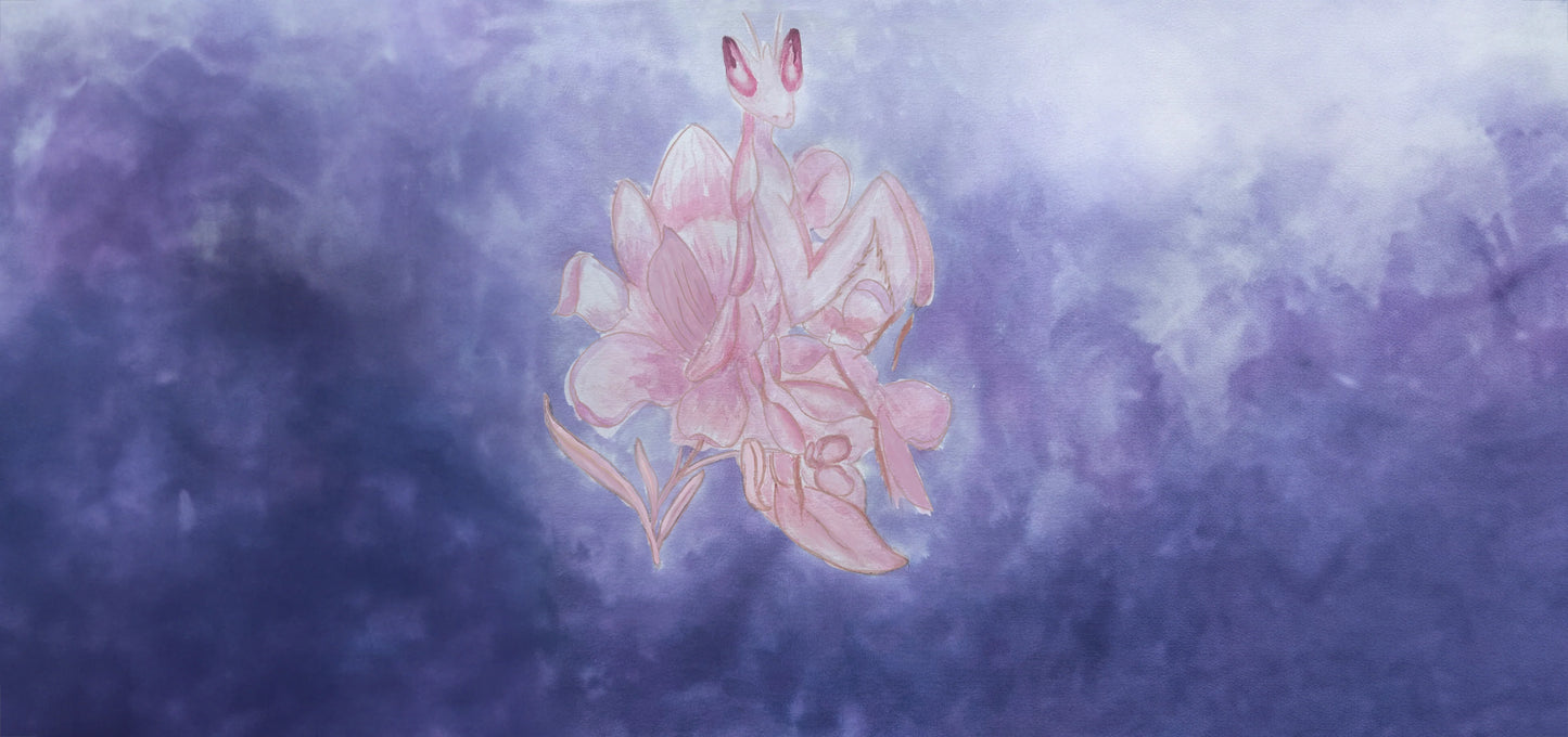 2025 June Limited Edition - Orchid Mantis