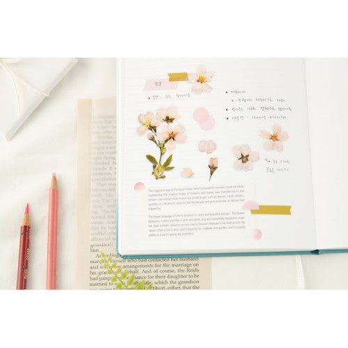 Pressed Flower Stickers - Cherry Blossom