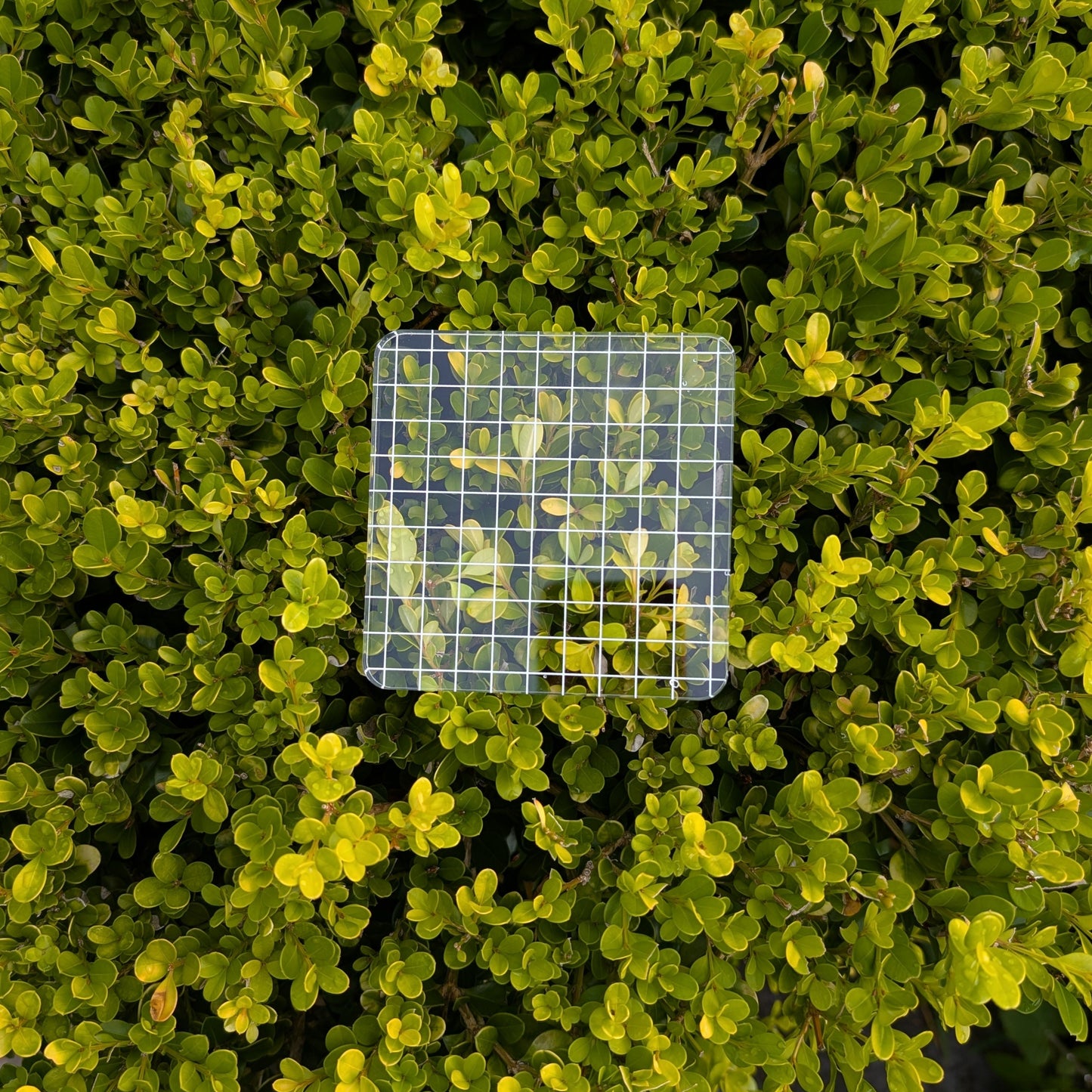 Clear Stamp Acrylic Block - Square