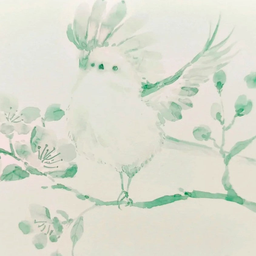 Apricot Blossom Usher Spring Colour