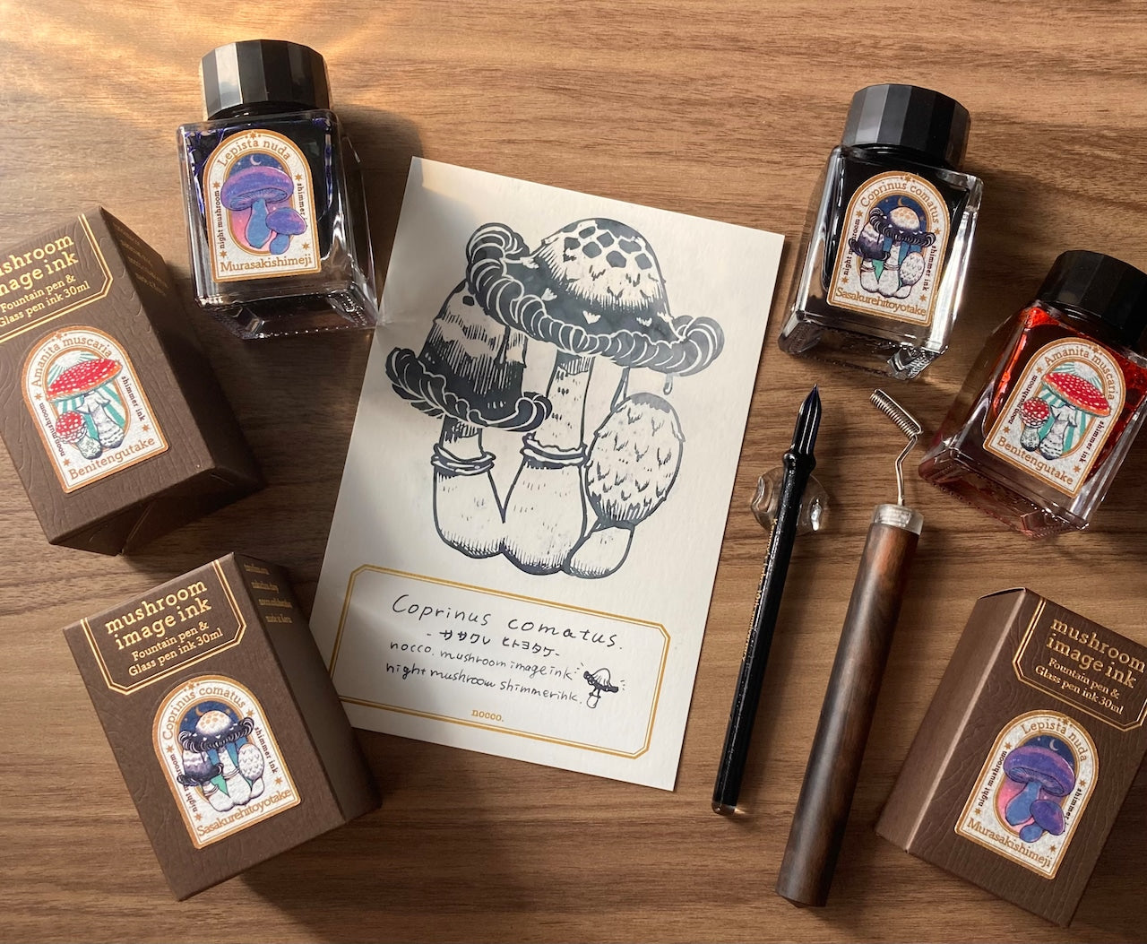 Mushroom Ink Postcard Corprinus Comatus