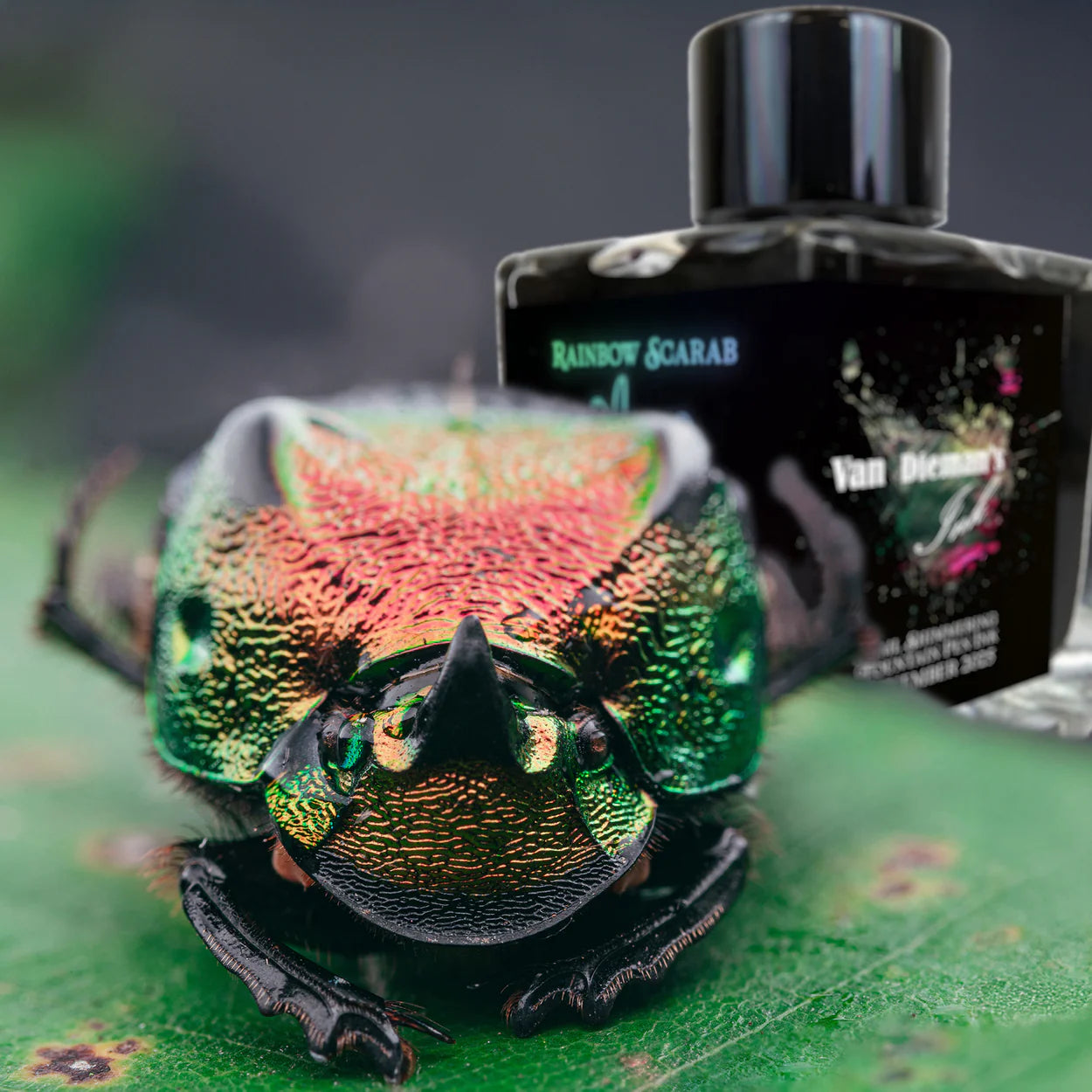 Van Dieman's Ink Rainbow Scarab ink bottle with a colourful scarab beetle on a leaf