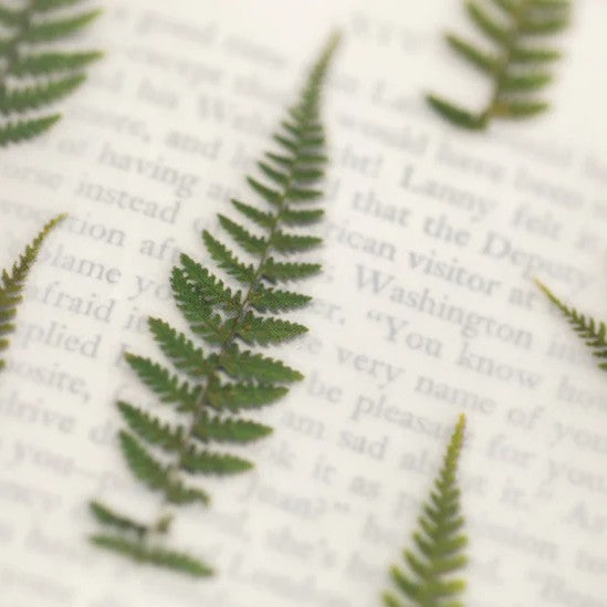 Pressed Flower Stickers - Bracken