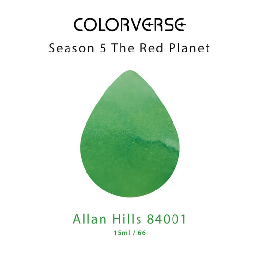 No.66 Allan Hills 84001