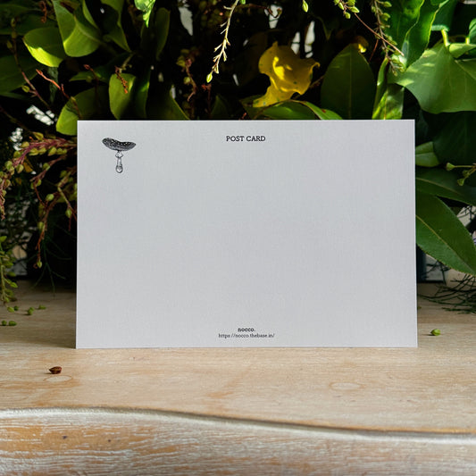 Muscaria Amanita Postcard