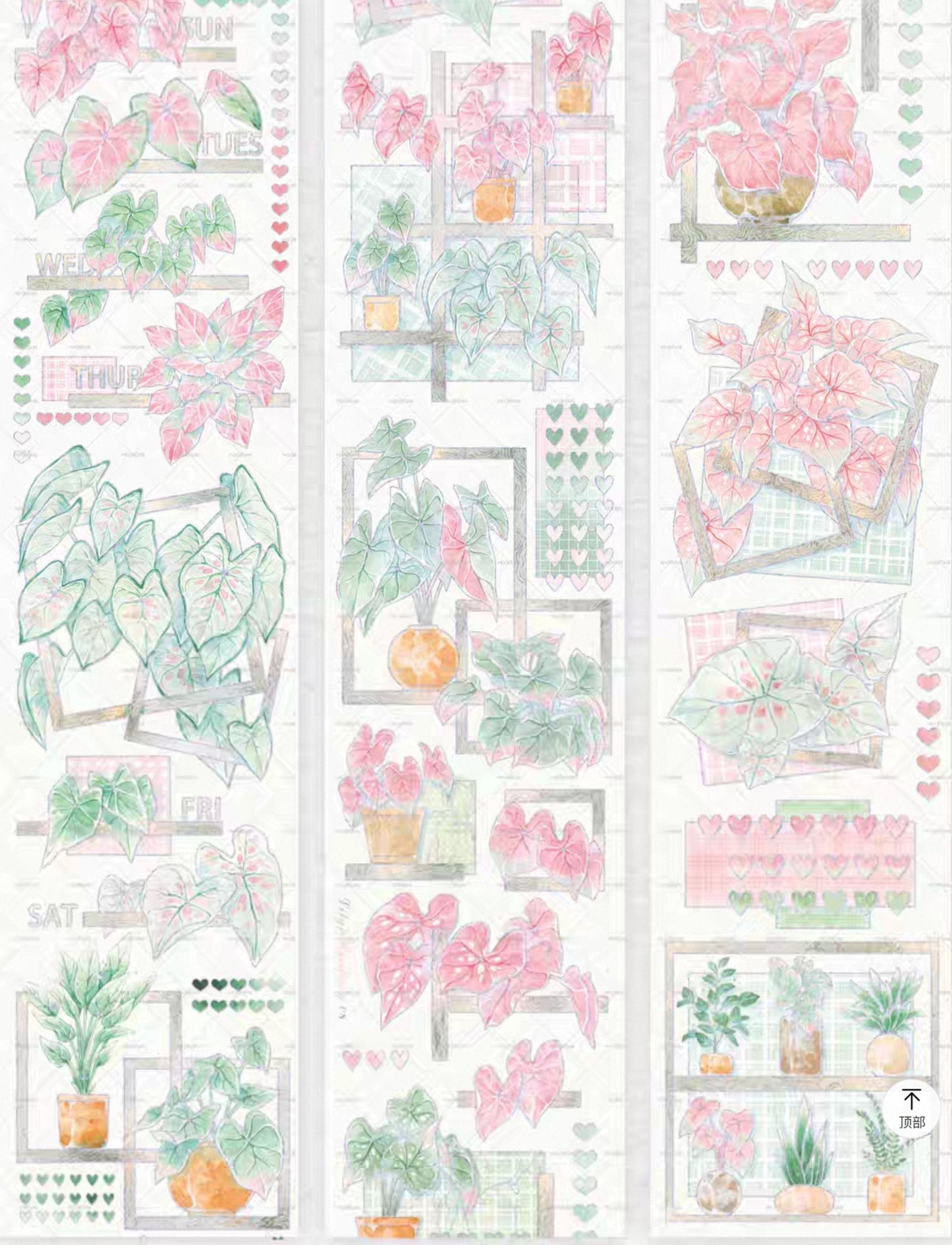 Caladiums (Angel Wings) PET Tape