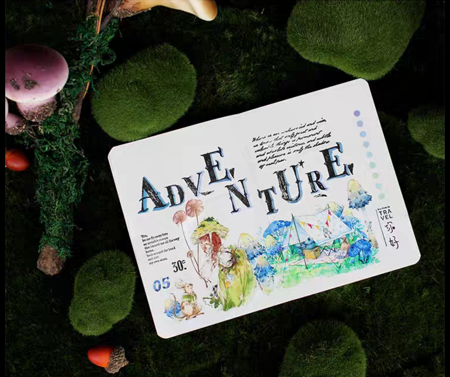 Mushroom Adventure PET Tape