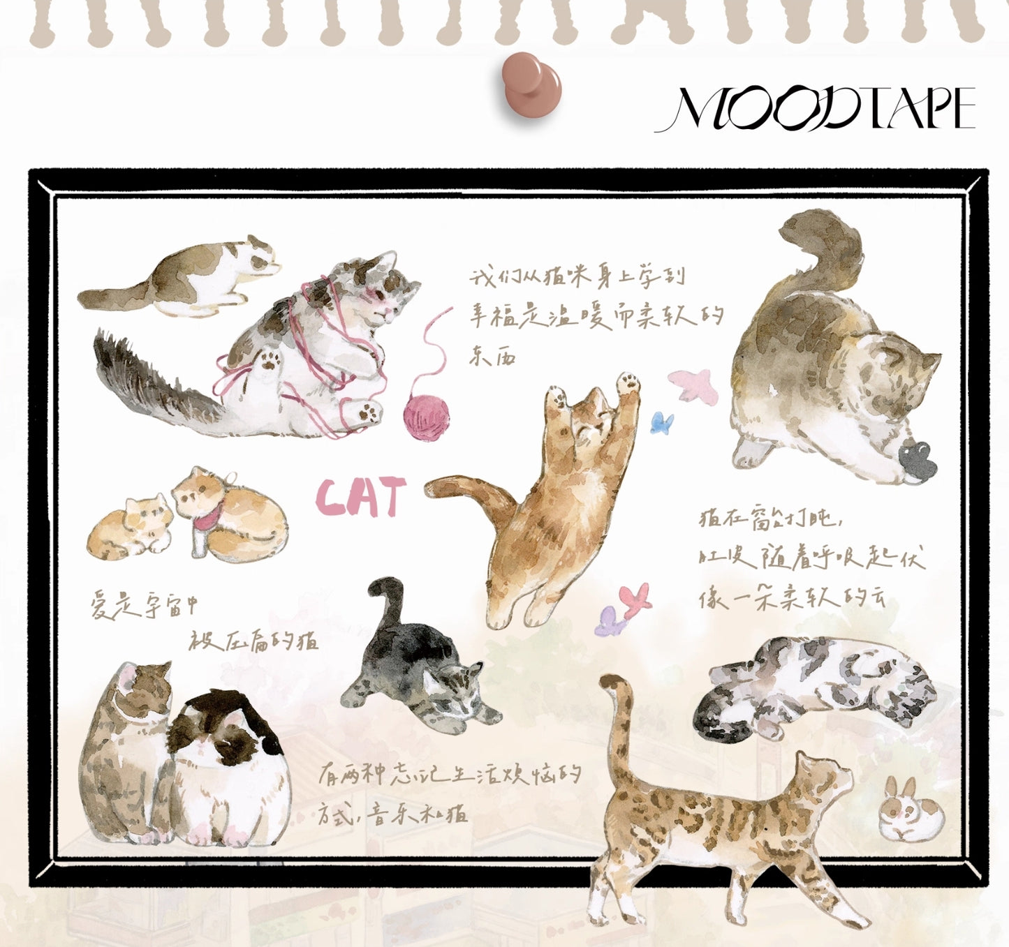 Playful Kittens Kiss-Cut Tape