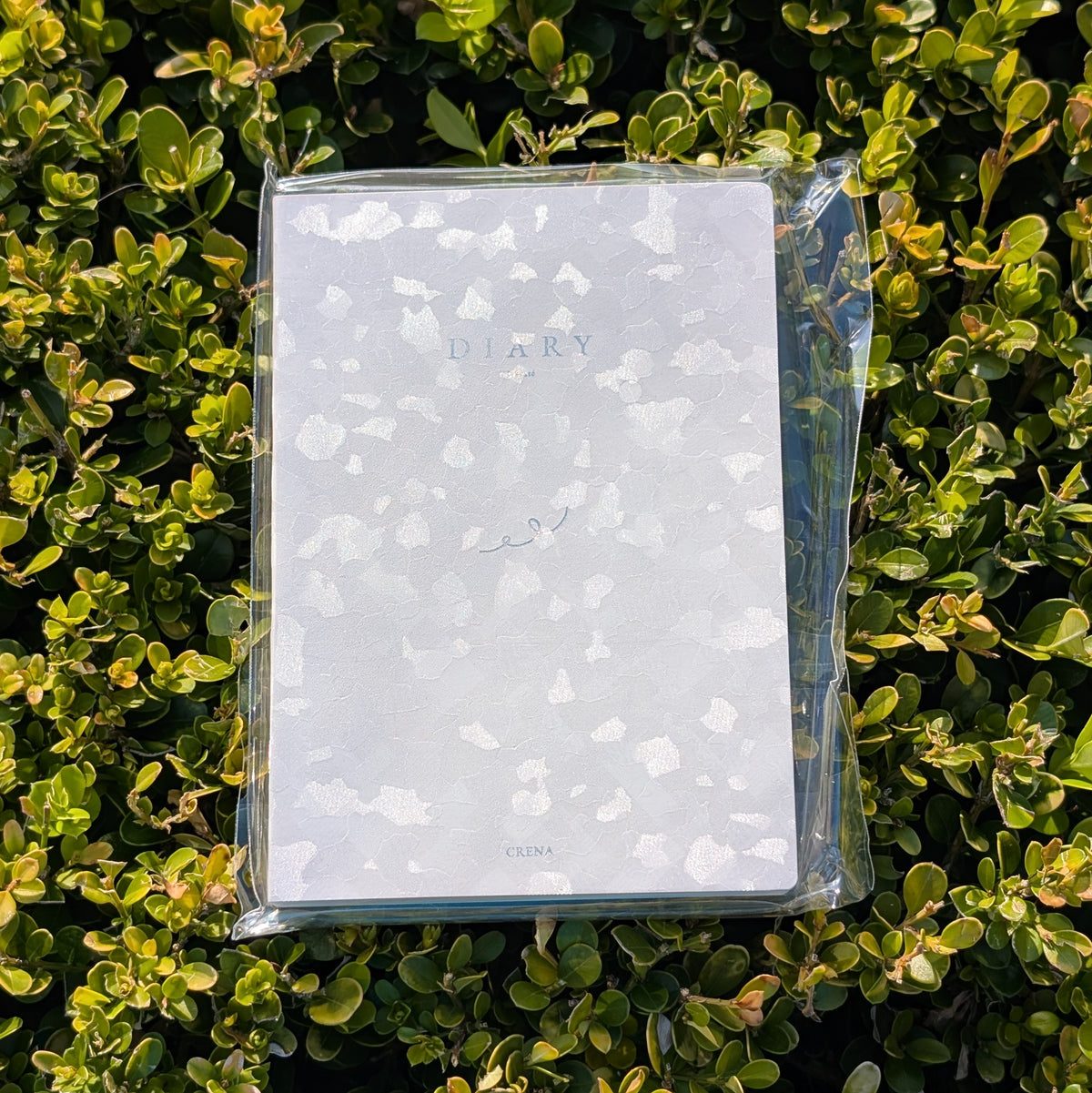 Crena Undated Liberte Diary (Pre-order)