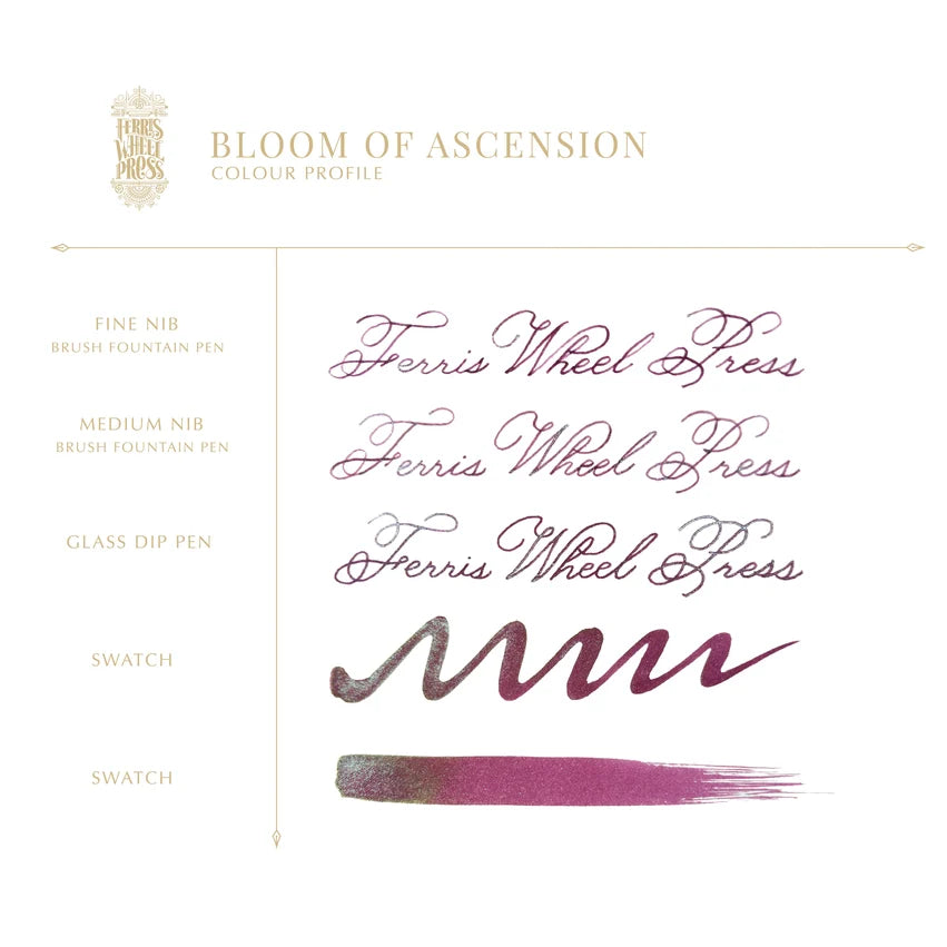 The Book of Knights Series - Bloom of Ascension