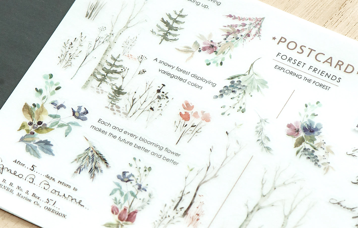 Winter Woodlands Print-On Stickers