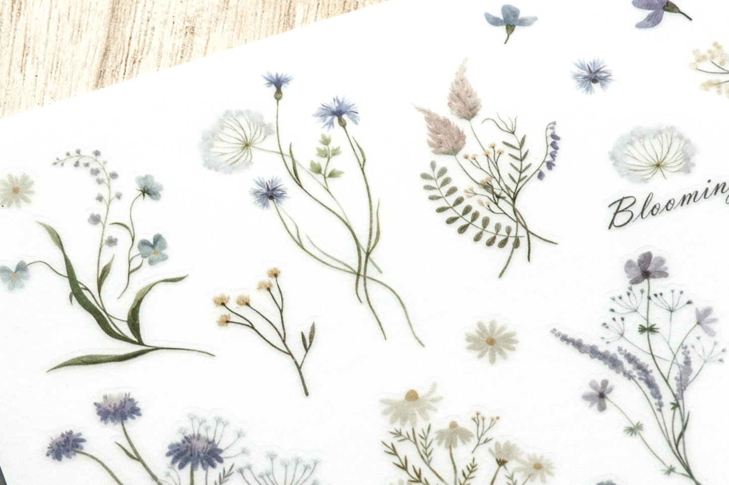 Wispy Cool Tone Flowers Print-On Stickers