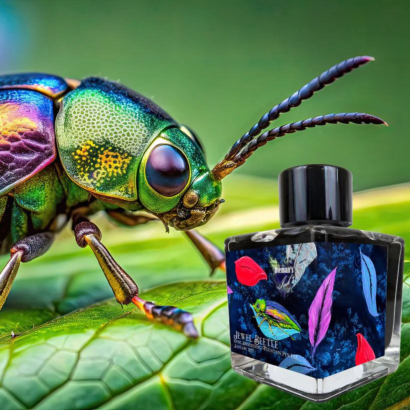 2025 January Limited Edition - Jewel Beetle