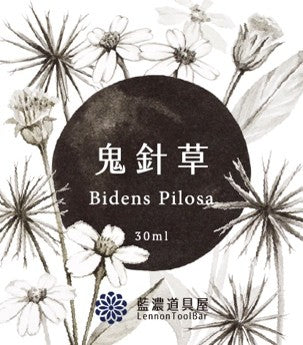 Bidens Pilosa