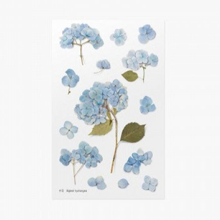 Pressed Flower Stickers - Bigleaf Hydrangea
