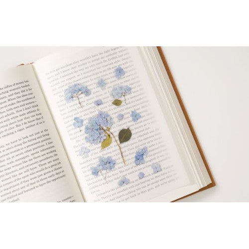 Pressed Flower Stickers - Bigleaf Hydrangea