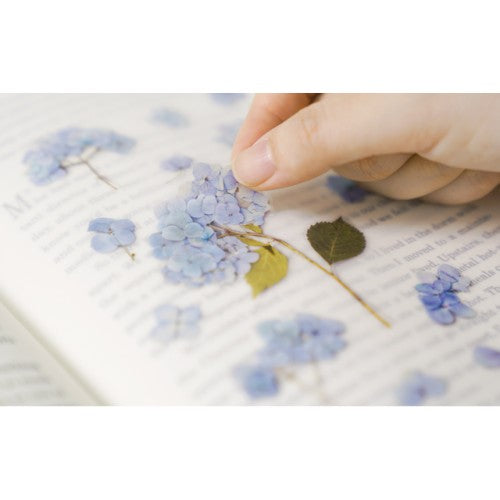 Pressed Flower Stickers - Bigleaf Hydrangea