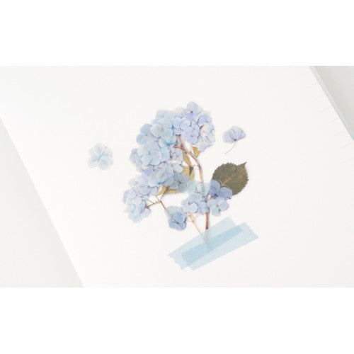 Pressed Flower Stickers - Bigleaf Hydrangea