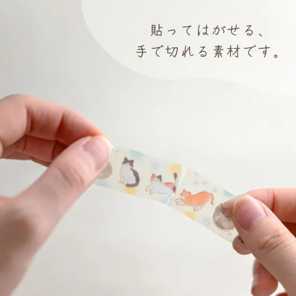 Cats & Polka Dots Clear Masking Tape