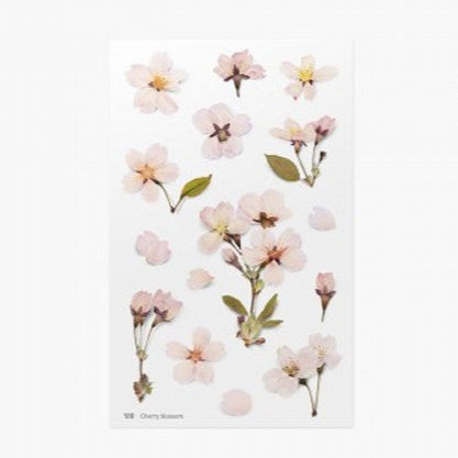 Pressed Flower Stickers - Cherry Blossom