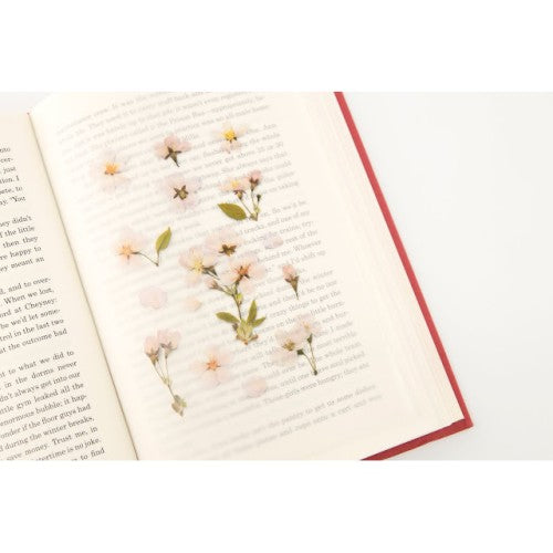 Pressed Flower Stickers - Cherry Blossom