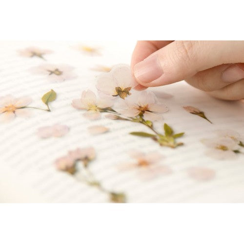 Pressed Flower Stickers - Cherry Blossom