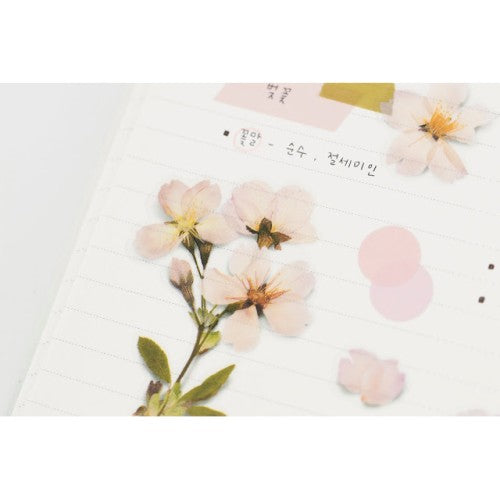 Pressed Flower Stickers - Cherry Blossom