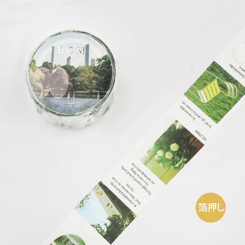 City Colour Silver Foil-stamped Washi Tape  - Green