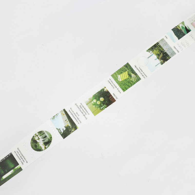 City Colour Silver Foil-stamped Washi Tape  - Green