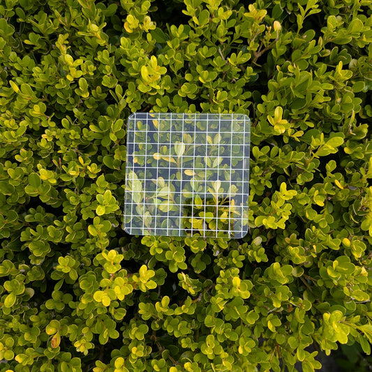 Clear Stamp Acrylic Block - Square