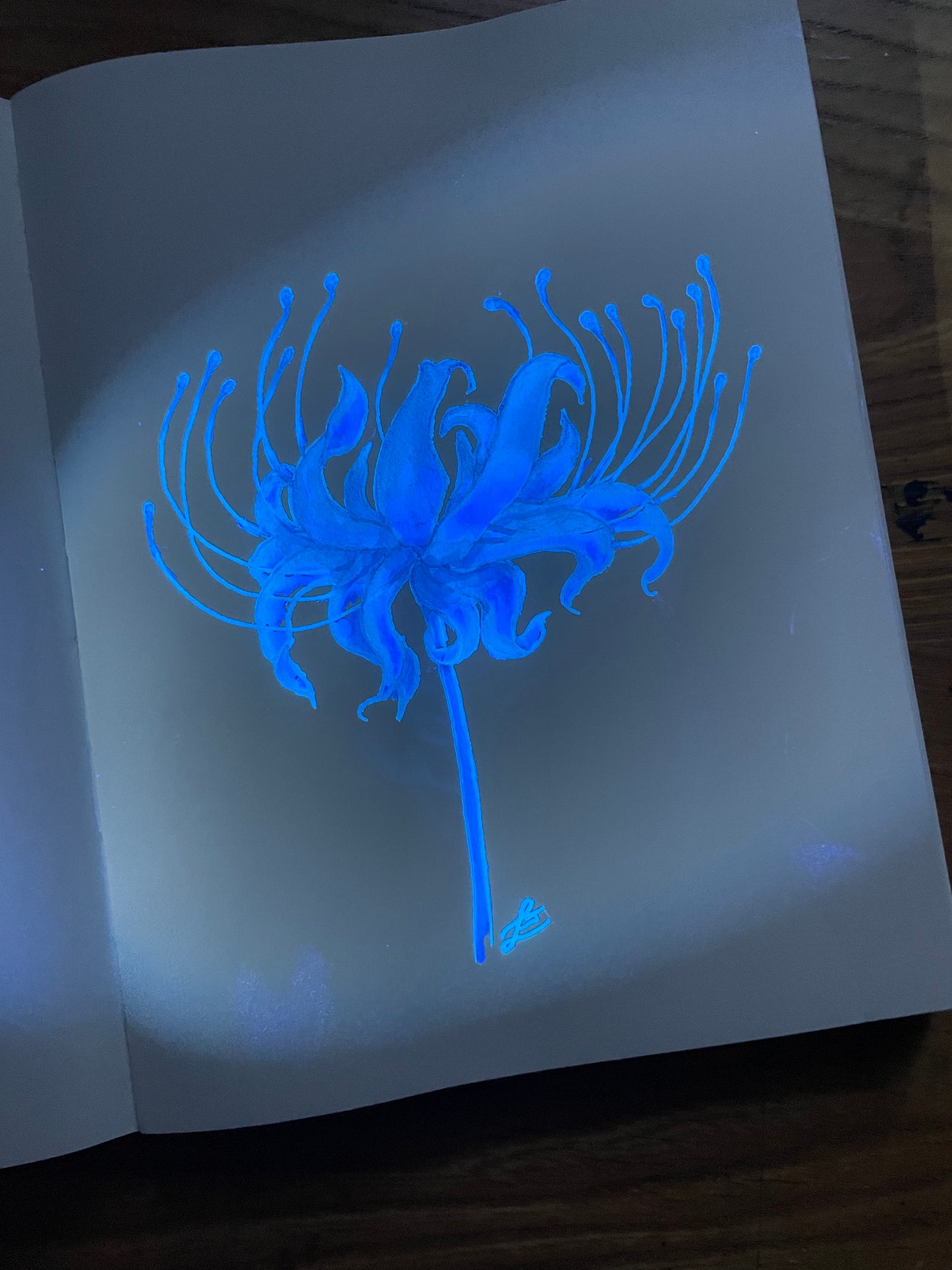 Mirror of the Sky Limited Edition UV Reactive Ink Kit