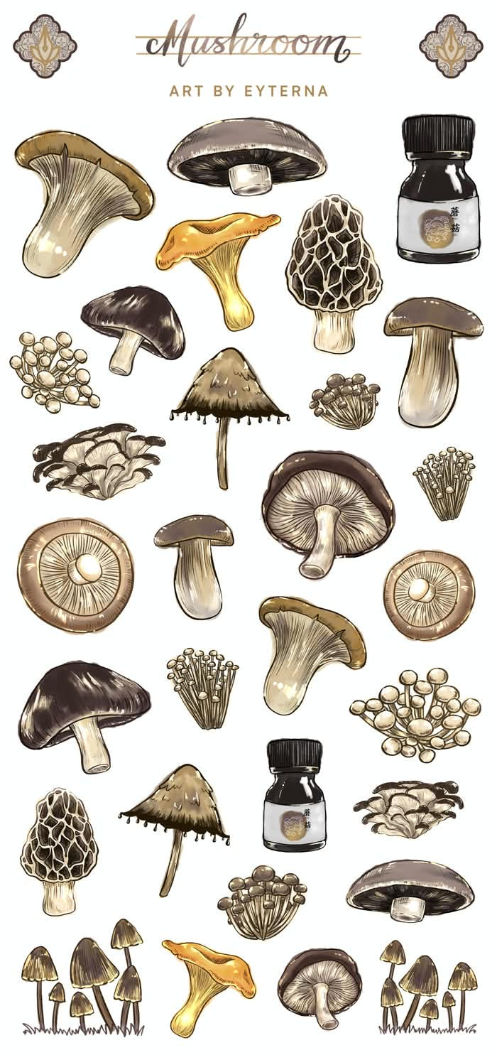 [Exclusive] Mushroom Sticker Sheet