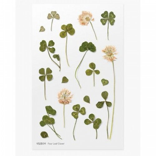 Pressed Flower Stickers - Four Leaf Clover