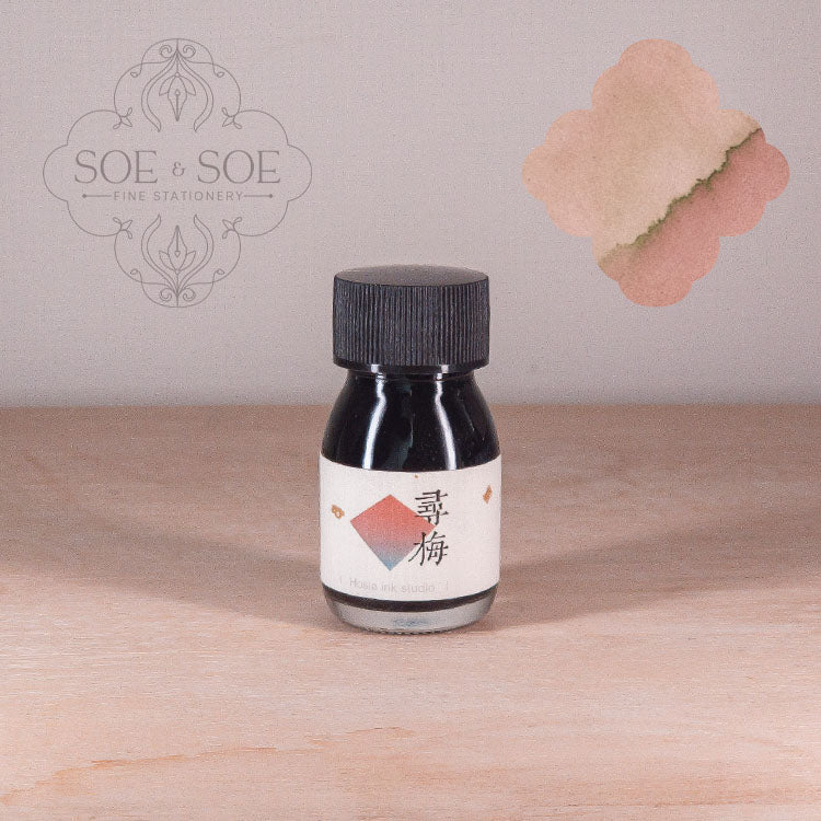 Searching For Plum Blossoms