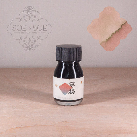 Searching For Plum Blossoms