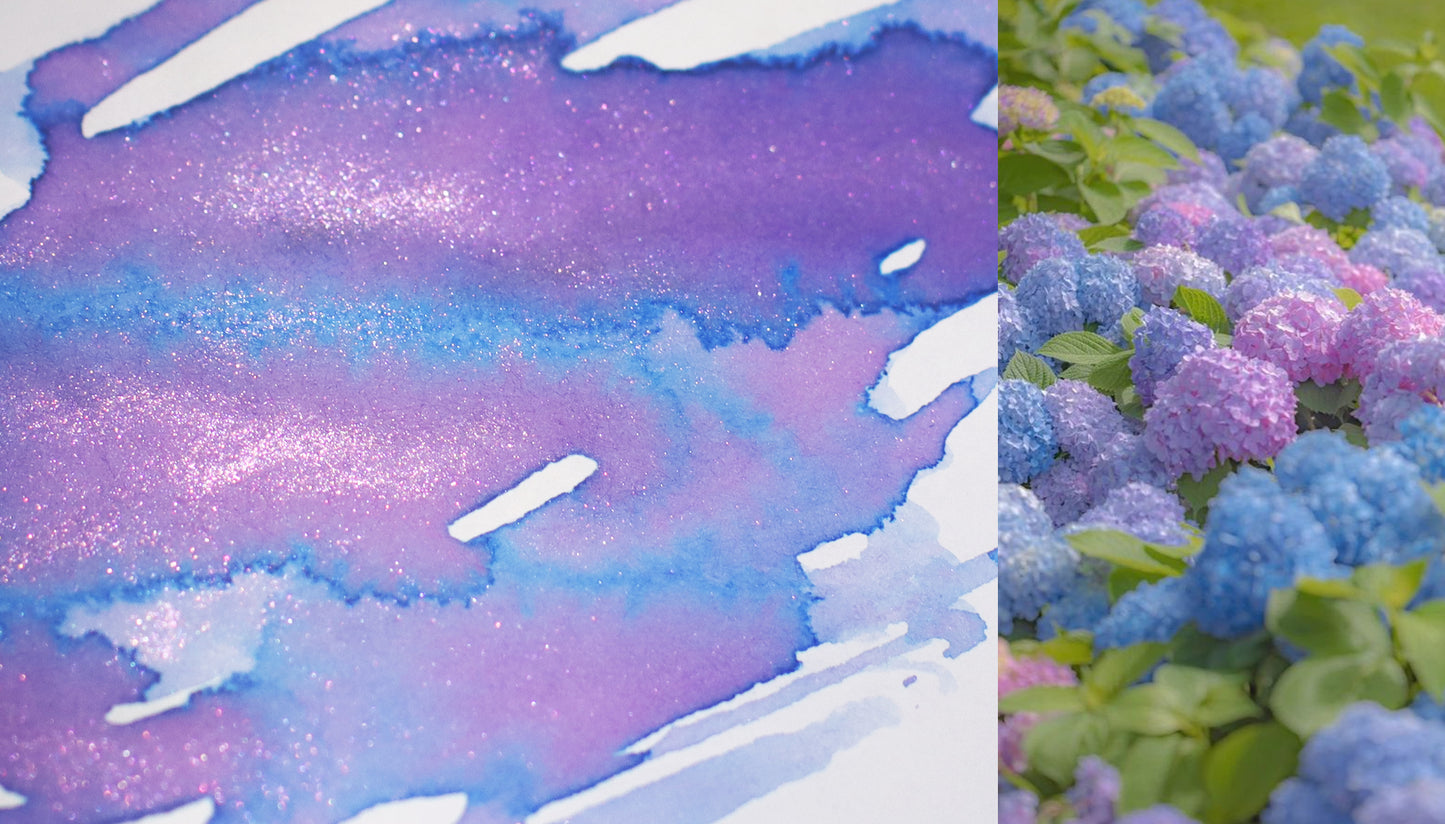 [Exclusive] Endless Summer Hydrangeas