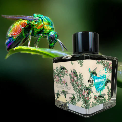 2025 Sept Limited Edition - Cuckoo Wasp