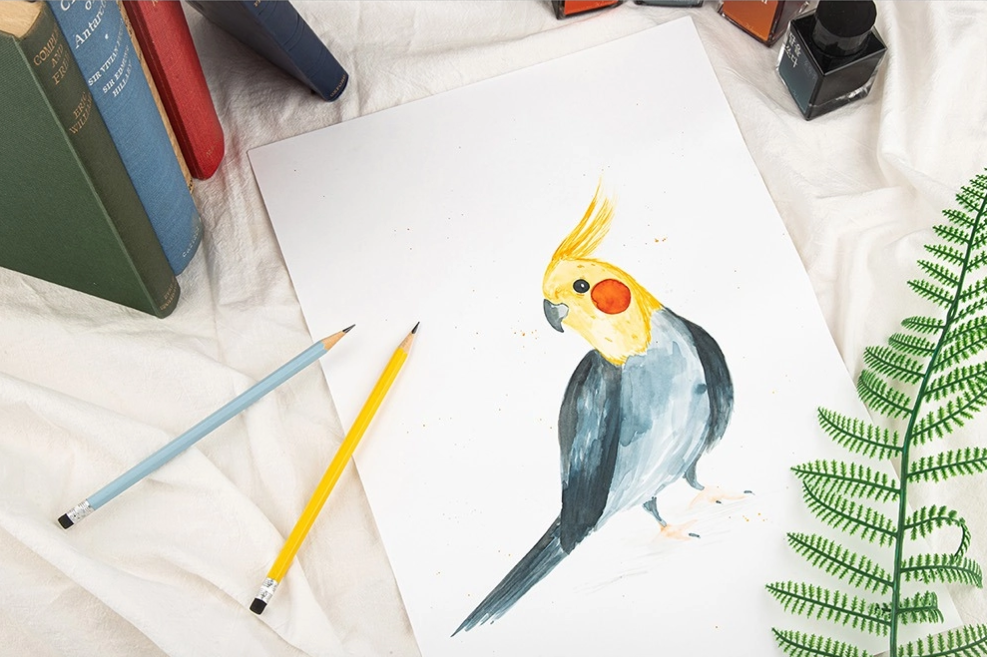 Wearinguel Impression Paper – Soe & Soe