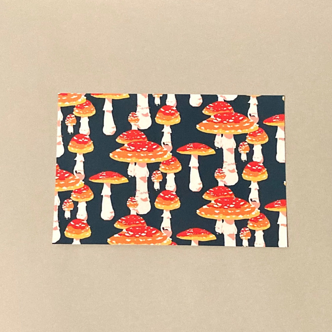 Postcard of colourful mushrooms on a dark blue background
