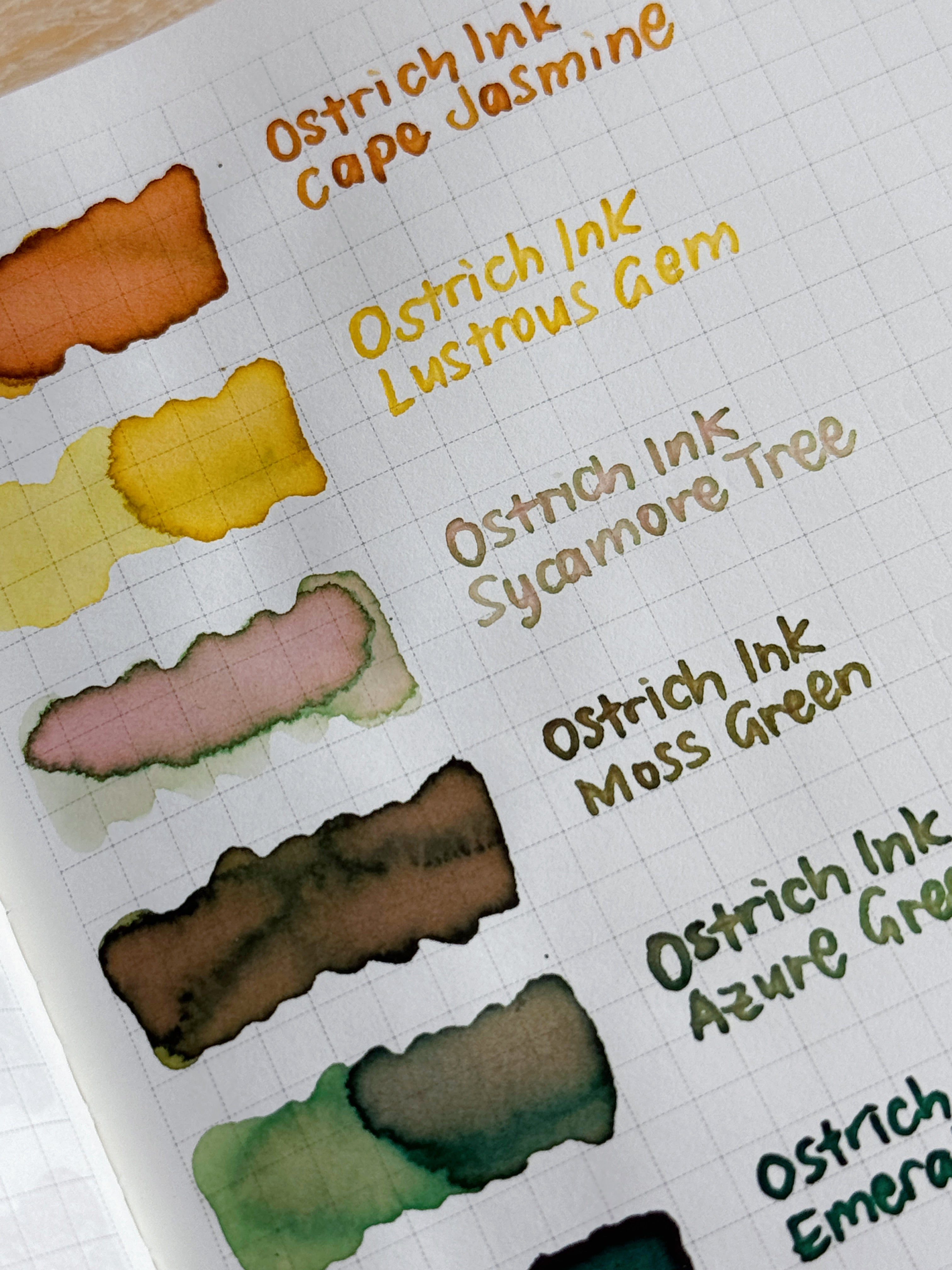 Ostrich Ink – Soe & Soe