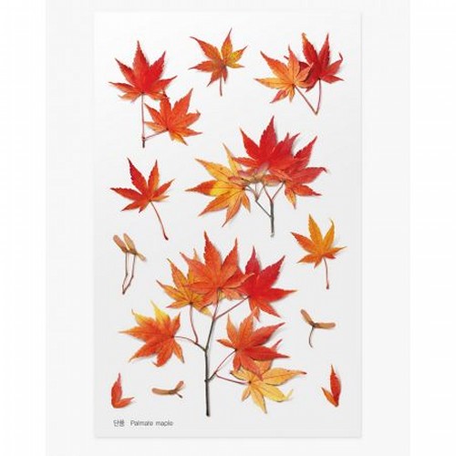 Pressed Flower Stickers - Palmate Maple