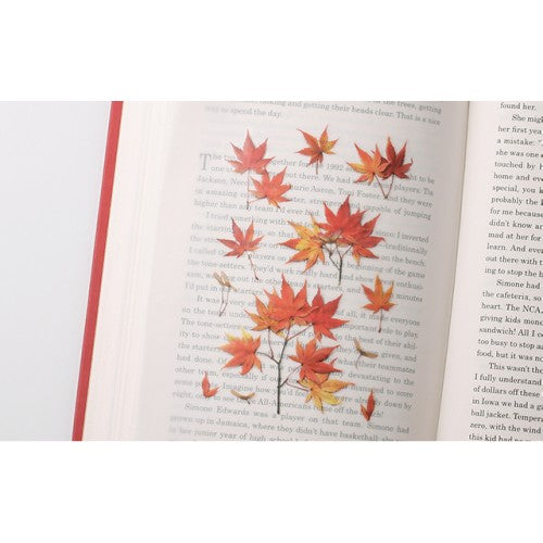 Pressed Flower Stickers - Palmate Maple