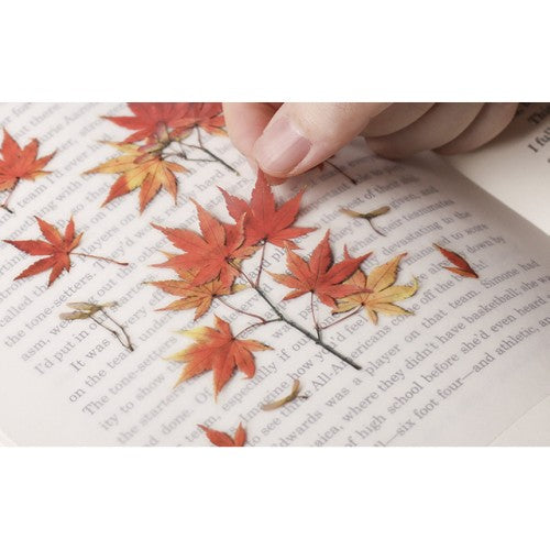 Pressed Flower Stickers - Palmate Maple