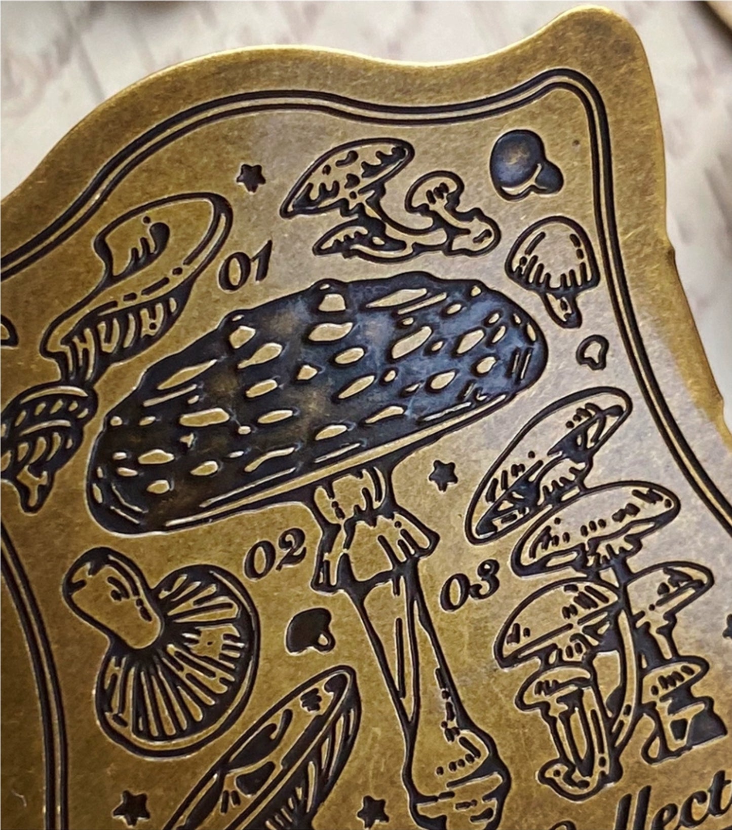 Mushroom Museum Brass Clip