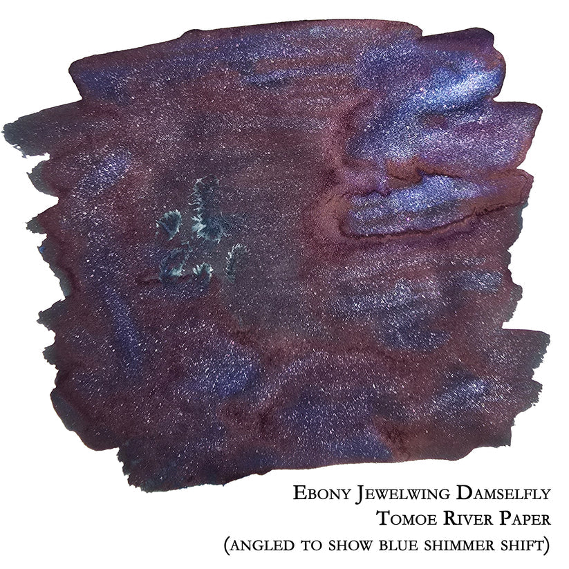 2025 July Limited Edition - Ebony Jewelwing Damselfly