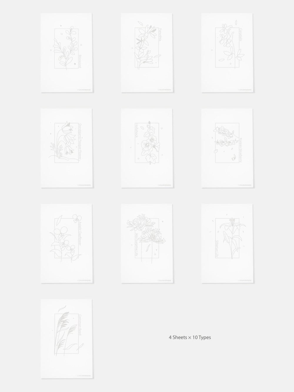 Ink Swatch Card Colorspace Wildflower B