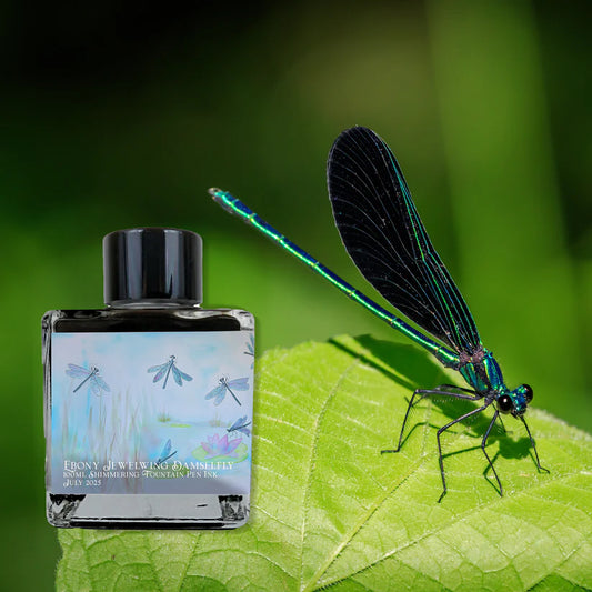 2025 July Limited Edition - Ebony Jewelwing Damselfly