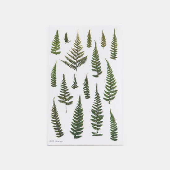 Pressed Flower Stickers - Bracken