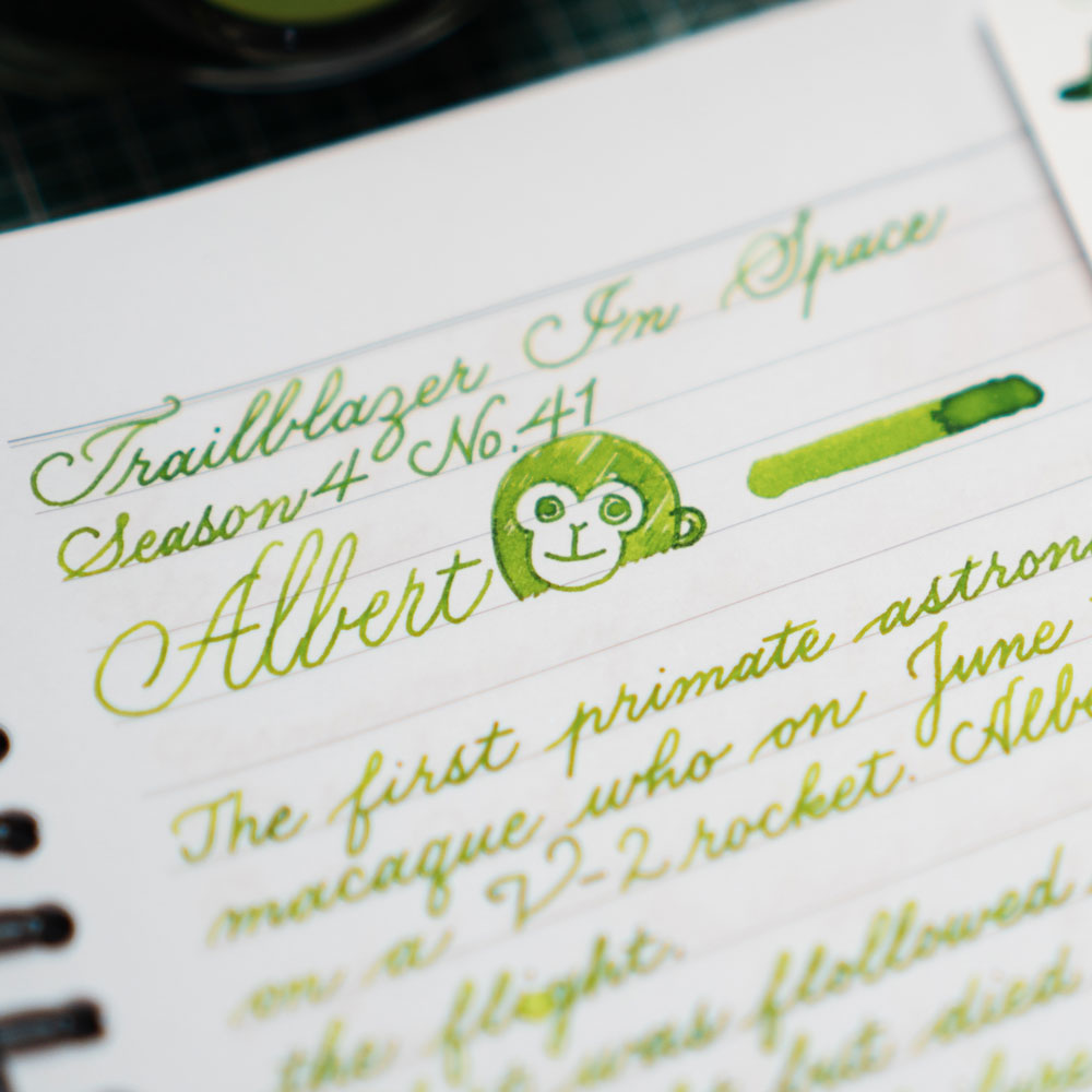 No.41 Albert